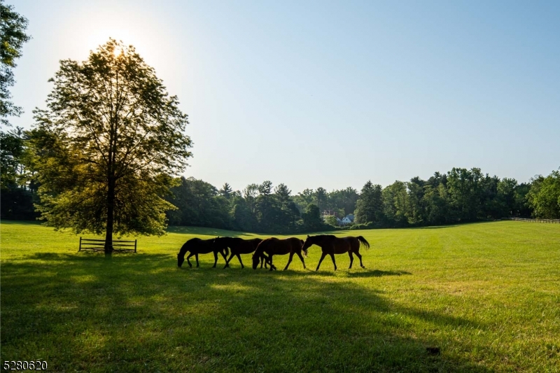 Somerset Hills Hunt Country - Residential