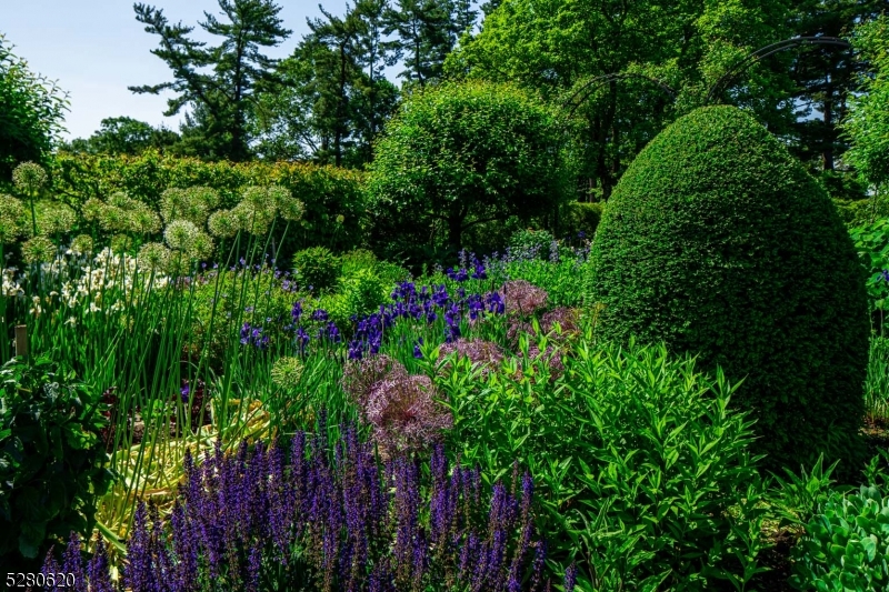 Somerset Hills Hunt Country - Residential