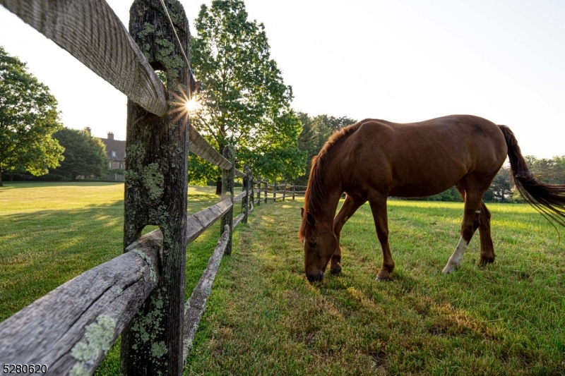 Somerset Hills Hunt Country - Residential