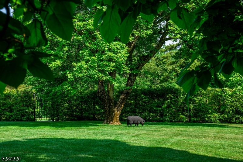 Somerset Hills Hunt Country - Residential