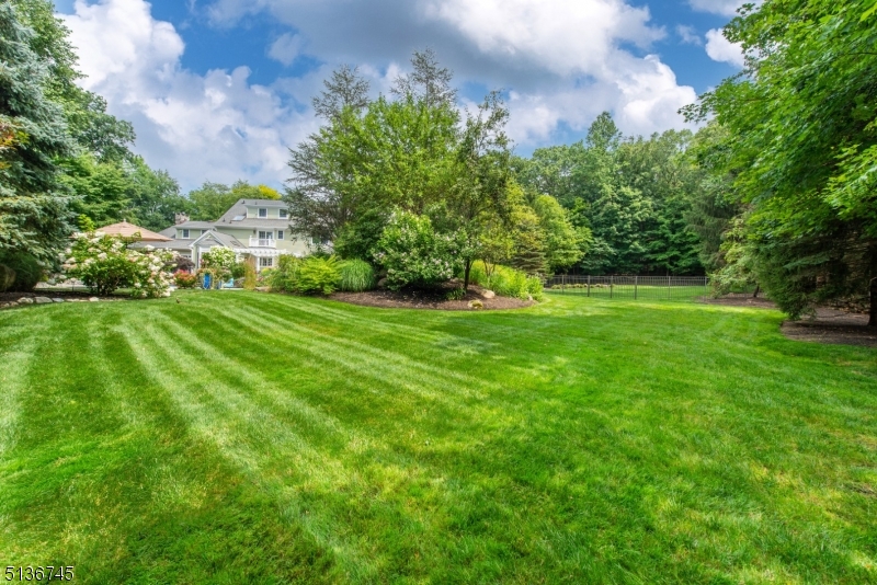 Hawk Hill - Residential