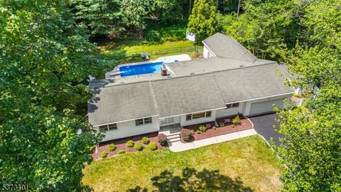 10 Campo Rd, Randolph Twp., NJ 07869 - #: 3976842