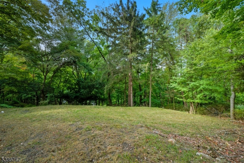 Lake Mohawk - Residential