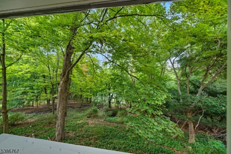 Lake Mohawk - Residential