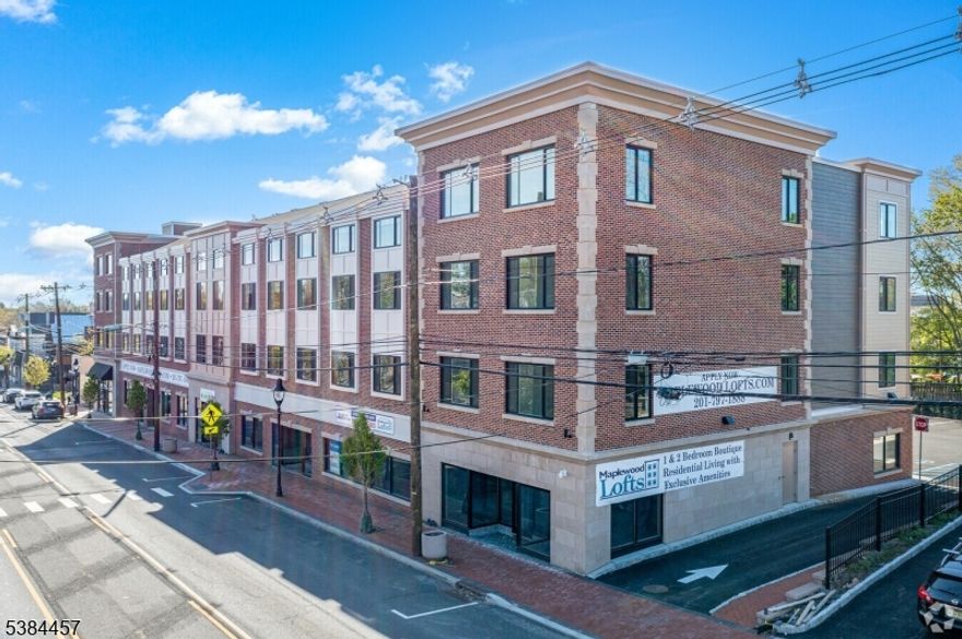Discover modern living in this stunning 2-bedroom, 2.5-bath luxury apartment located right on Springfield Avenue in the heart of Maplewood. This home offers a perfect blend of comfort and convenience, featuring a spacious open layout, sleek finishes, and an abundance of natural light.Inside, you'll find in-unit laundry for everyday ease, and a bright, airy loft that provides additional living space ideal for a home office, lounge, or guest area. Both bedrooms are generously sized, with ample closet space and contemporary bathrooms designed with high-end touches.Perfectly situated near all major highways and transit routes, this apartment offers unbeatable accessibility while keeping you close to Maplewood's charming shops, dining, and community amenities.