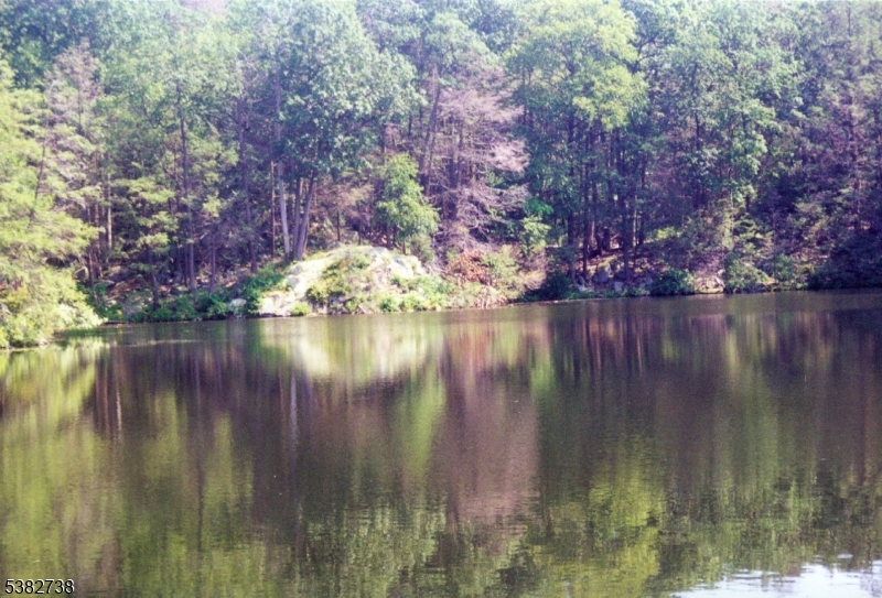 CUB LAKE ESTATES - Land