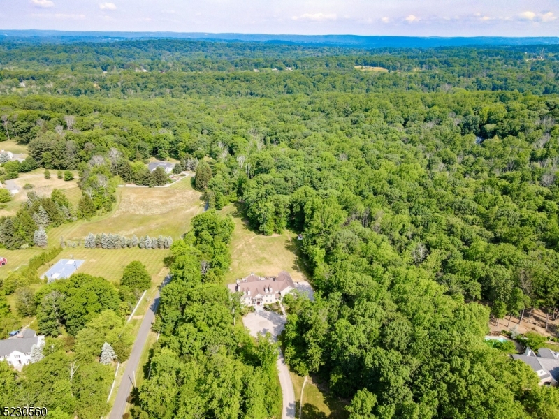 Estate - Residential