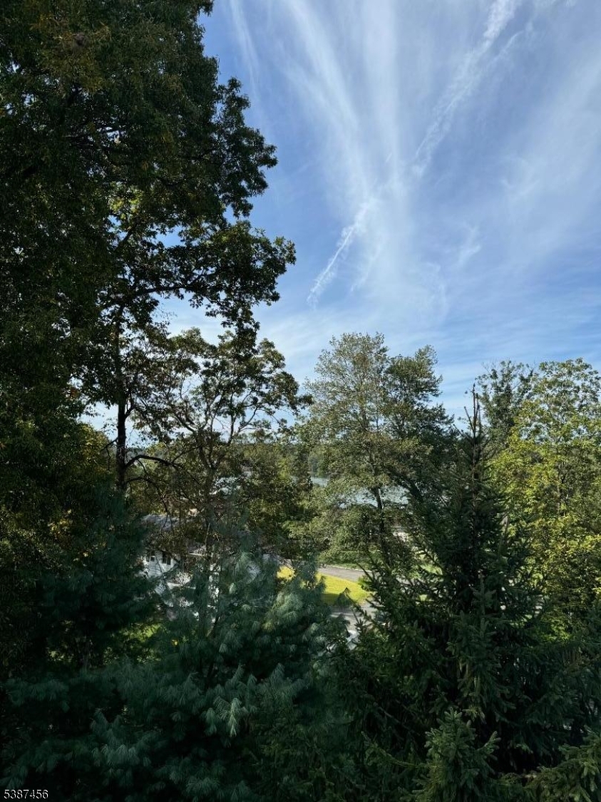 Lake Forest - Residential