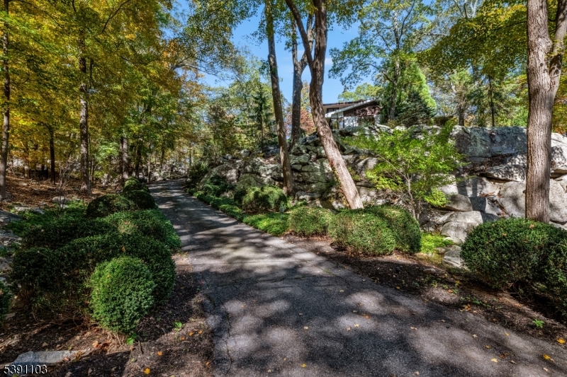 Smoke Rise - Residential