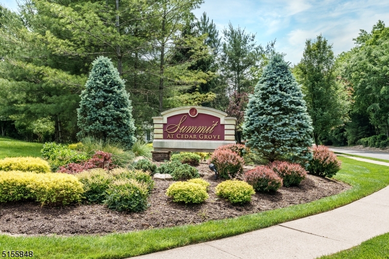 The Summit at Cedar Grove - Residential