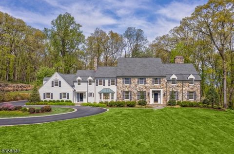 100 Overleigh Rd, Bernardsville Boro, NJ 07924 - MLS#: 3961466