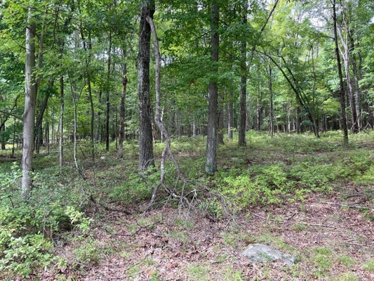 OWASSA RD, NEWTON, NJ 07860 - Image f9e2f9b8dbef8d373279b4c05fc8c10c/46377940