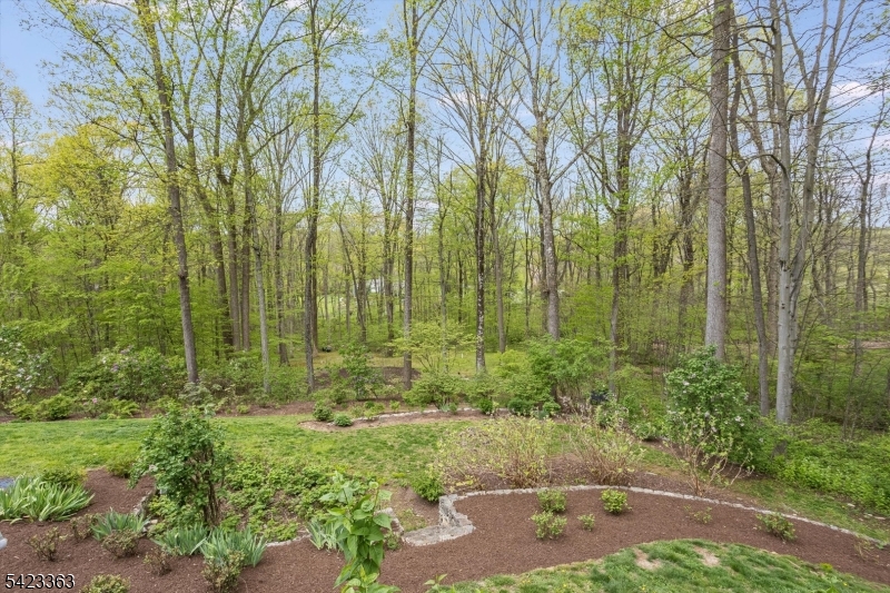 Hedgerows - Residential