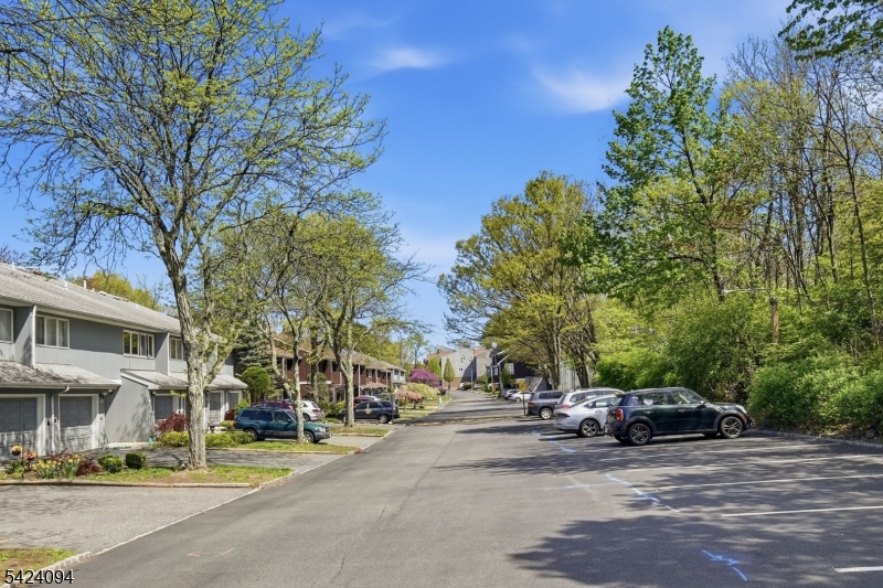 ESSEX GREENS VILLAS - Residential