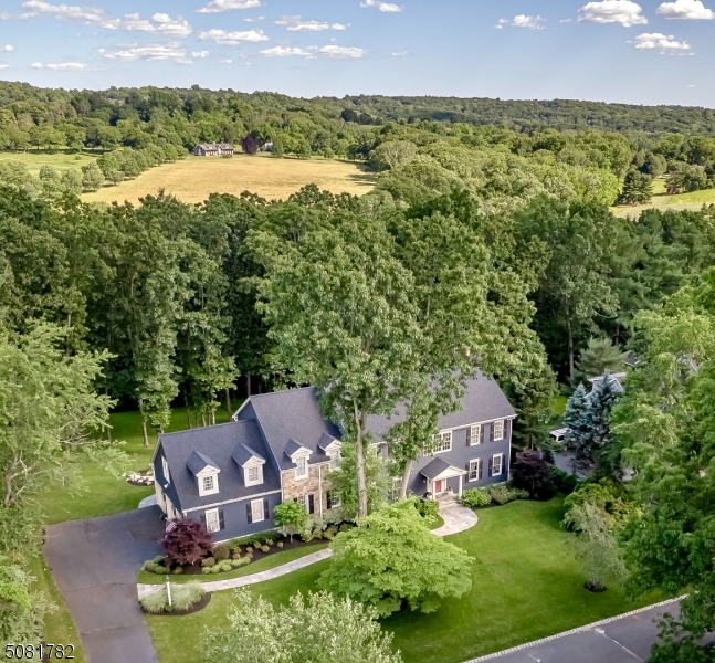 This stunning, custom, completely renovated home is located in one of the most sought-after neighborhoods in Mendham-BROOKRACE! Brookrace has a private lake, Lake Therese, and is surrounded by the Schiff Nature Preserve offering biking, hiking, horse trails, birdwatching, yoga & ed programs. The home is located on a cul-de-sac & has mtn & lake views. The 1st floor was reno'd in 2015. The 18'x19' state-of-the-art, custom kitchen is adorned w/marble CNTP, cust mosaic backsplash, 6-burner WOLF cooktop & griddle w/2 ovens, cust hood, 2 DWs, Subzero refrig, wine refrig/beverage drawers, drop-down TV, 9'x5' island, walk-in pantry, cust chandeliers & walks out to a deck spanning the back of the house w/maintence-free IPE planks & LYNX built-in grill & aluminum and cable railing overlooking pvt, lush backyard.