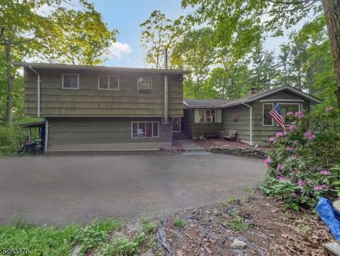 13 Mountain Spring Rd, West Milford Twp., NJ 07480 - #: 3904138