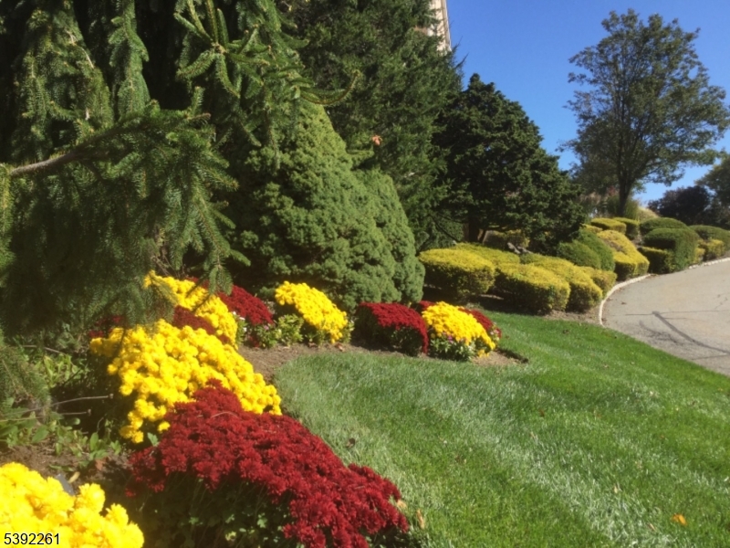 Fox Hills - Residential