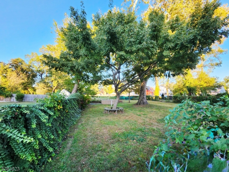 Greenbrook park - Residential