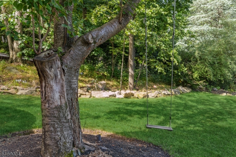 Paramount Estates - Residential