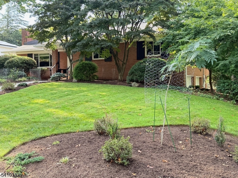 Montrose - Residential