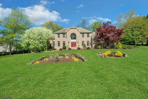 25 Mary Dr Montville Twp. NJ 07082