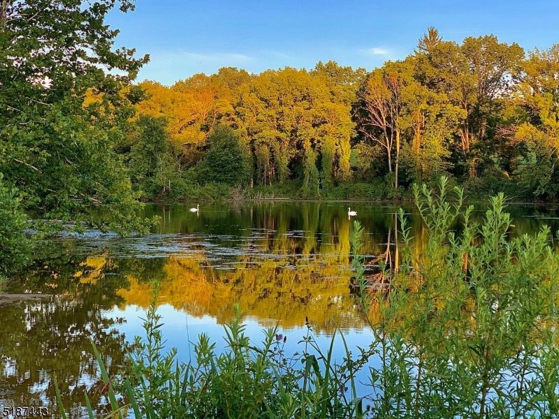 Brookrace - Residential