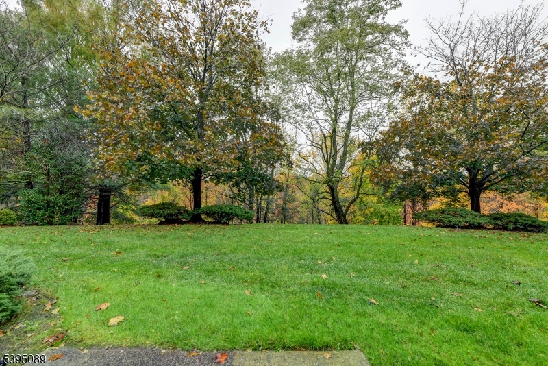 Town House - Residential