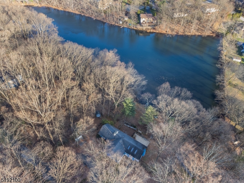 Beacon Hill - Residential