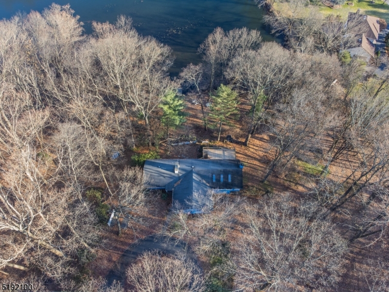 Beacon Hill - Residential