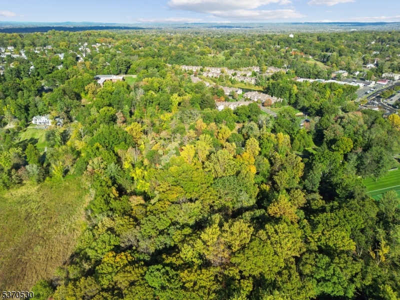 GREEN VILLAGE - Land