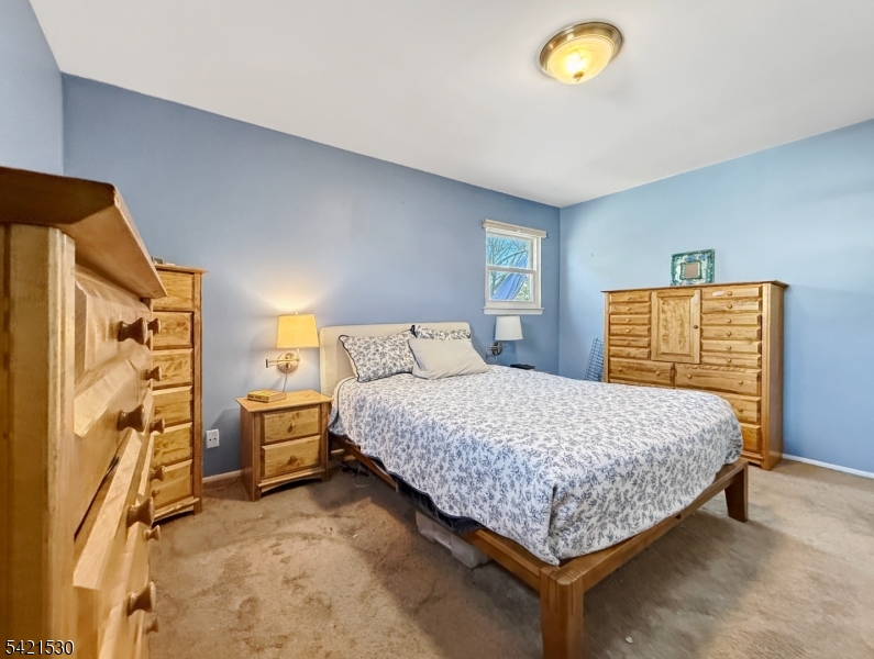 Brakeley Park - Residential