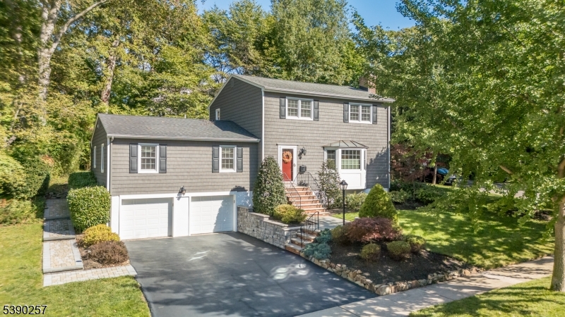 Downtown - Residential