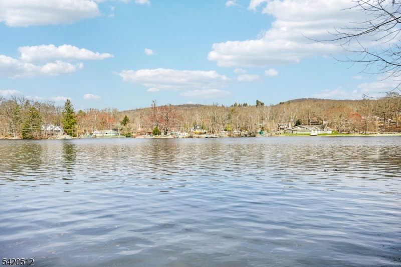 Cupsaw Lake - Residential