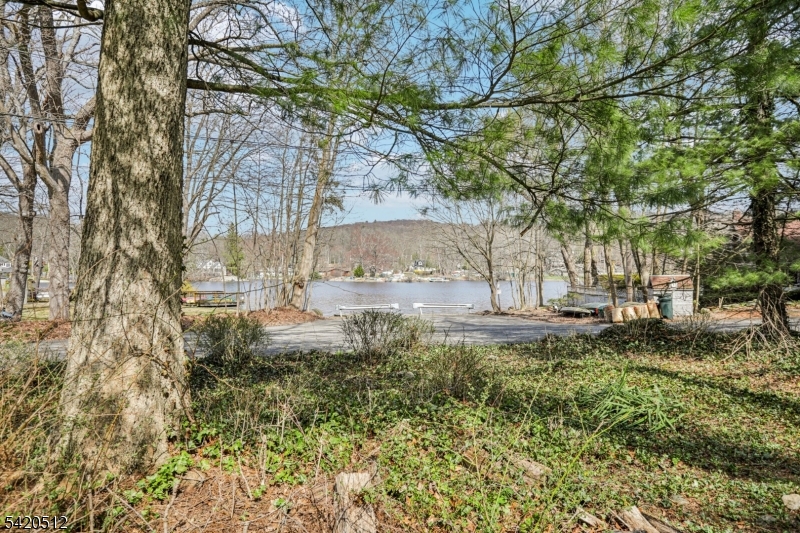 Cupsaw Lake - Residential