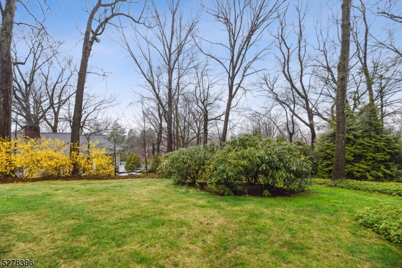 Woodland Park - Residential