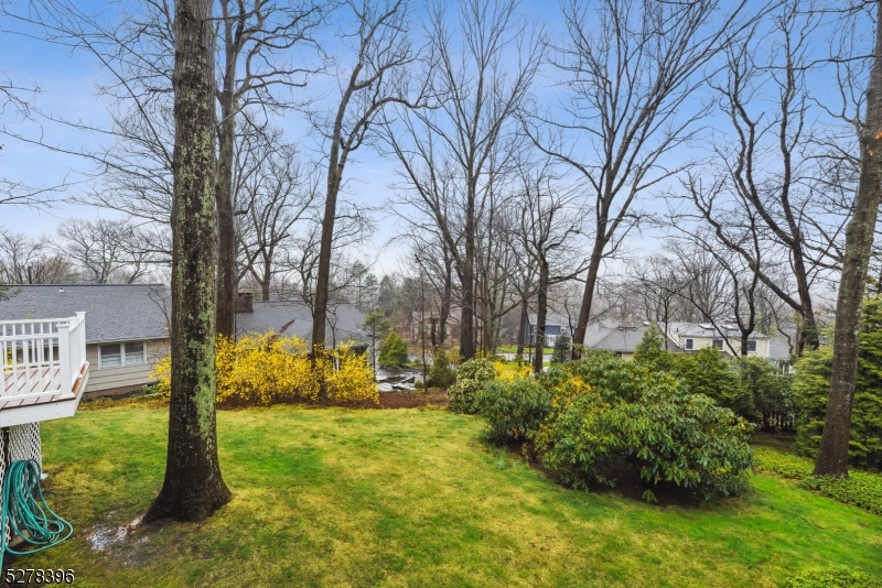 Woodland Park - Residential