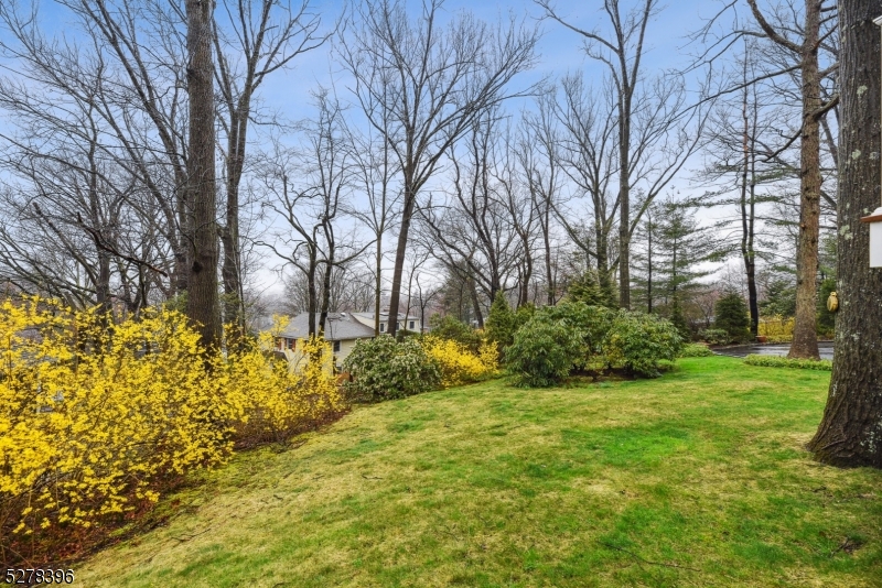 Woodland Park - Residential