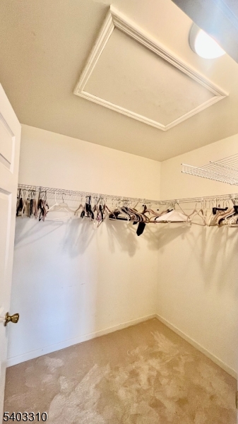 Clove Hill Manor - Residential