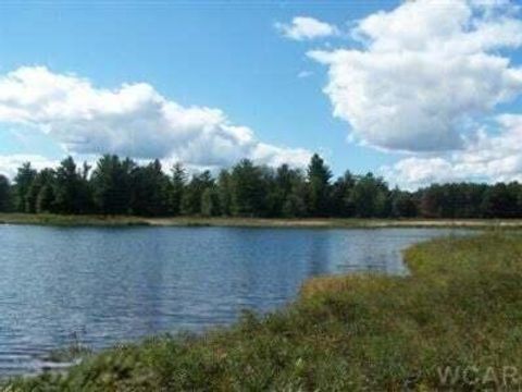 6485 Dunhill Drive Canadian Lakes MI 49346