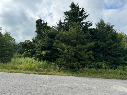 227 RIVIERA DR, BROOKLYN, MI 49230 - Image 013ee4f0fc35b11e4a9f66b77e2bc5eb/381469314