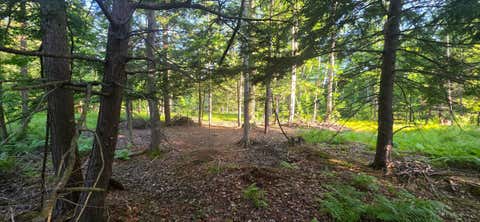Photo of 10 acres E Free Soil Road, Free Soil, MI 49411 (MLS # 26042679)