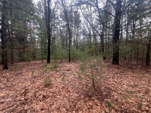 Photo of S Atwater, White Cloud, MI 49349 (MLS # 26013412)