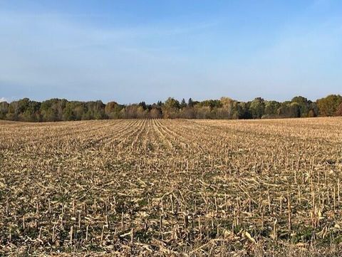 Photo of Wickwire Road, Benton Harbor, MI 49022 (MLS # 25056386)