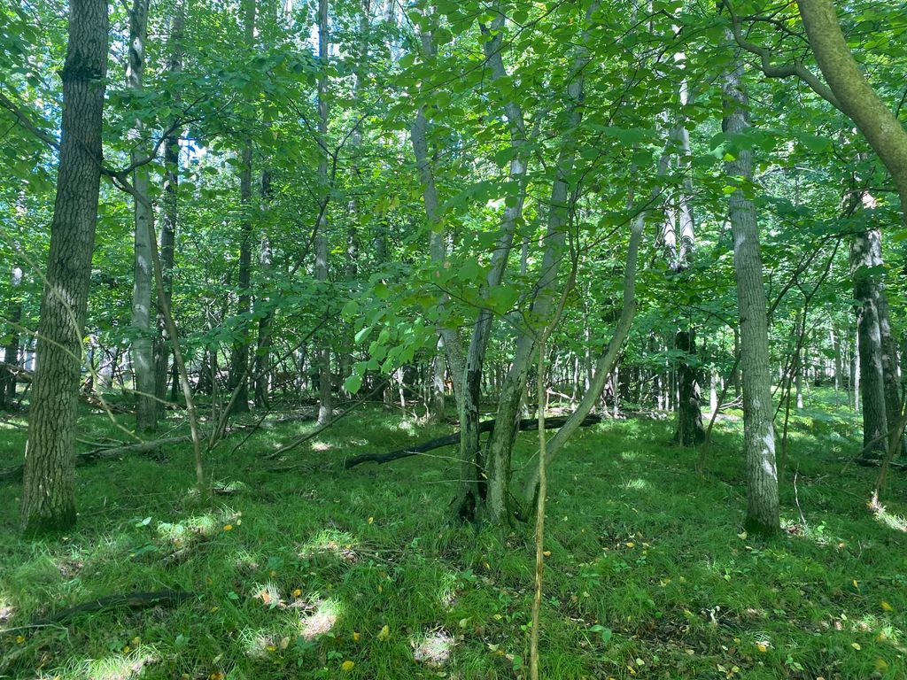 Photo of 12100 Belle Isle Drive #369, Canadian Lakes, MI 49346 (MLS # 26005711)