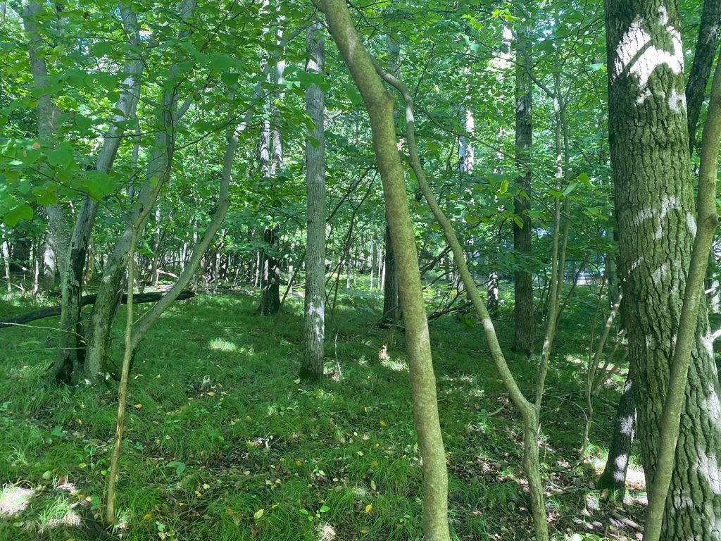 Photo of 12100 Belle Isle Drive #369, Canadian Lakes, MI 49346 (MLS # 26005711)