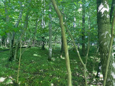 12100 Belle Isle Drive Stanwood MI 49346