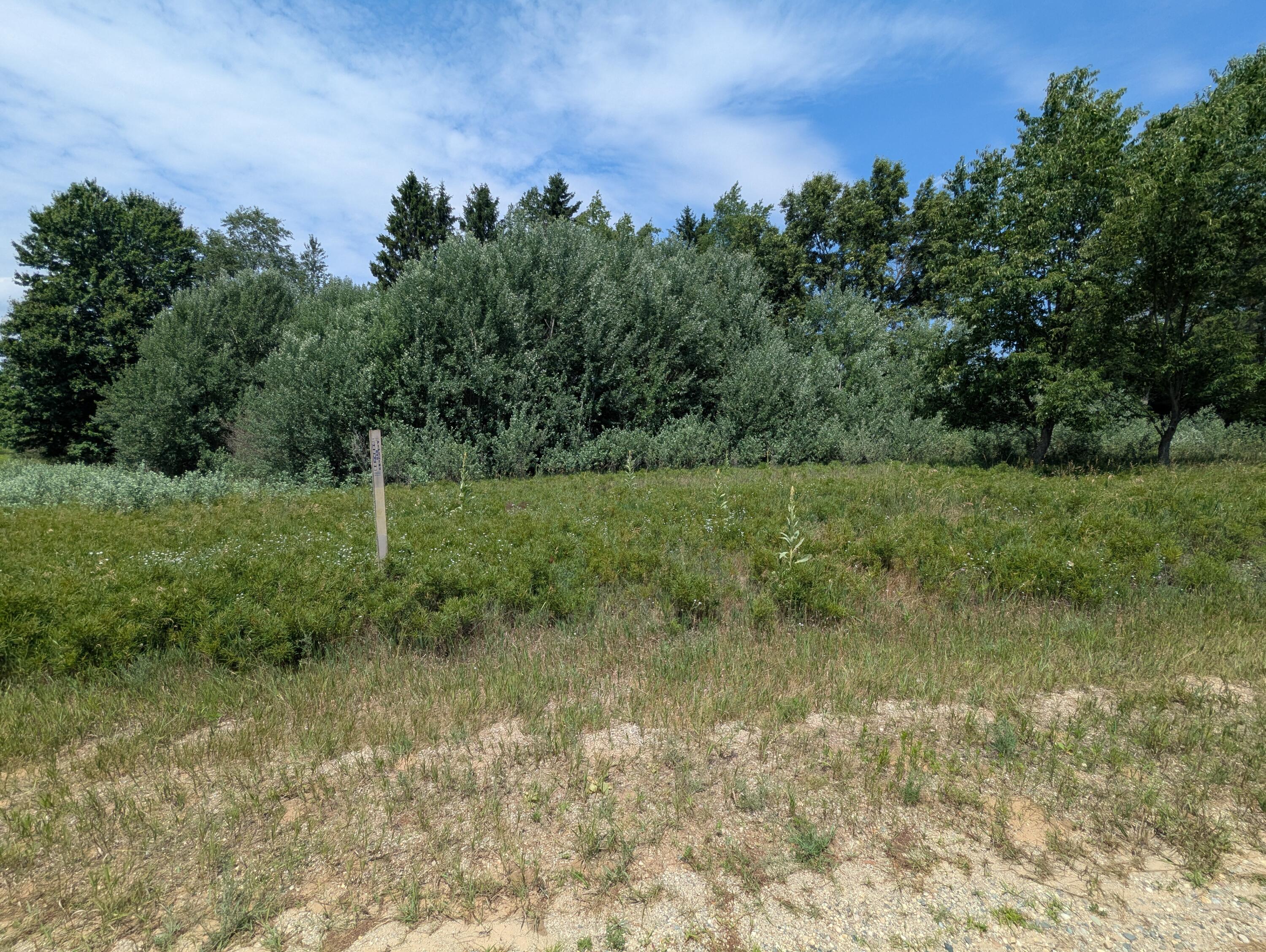 11526 S Lookout Ridge Ridge