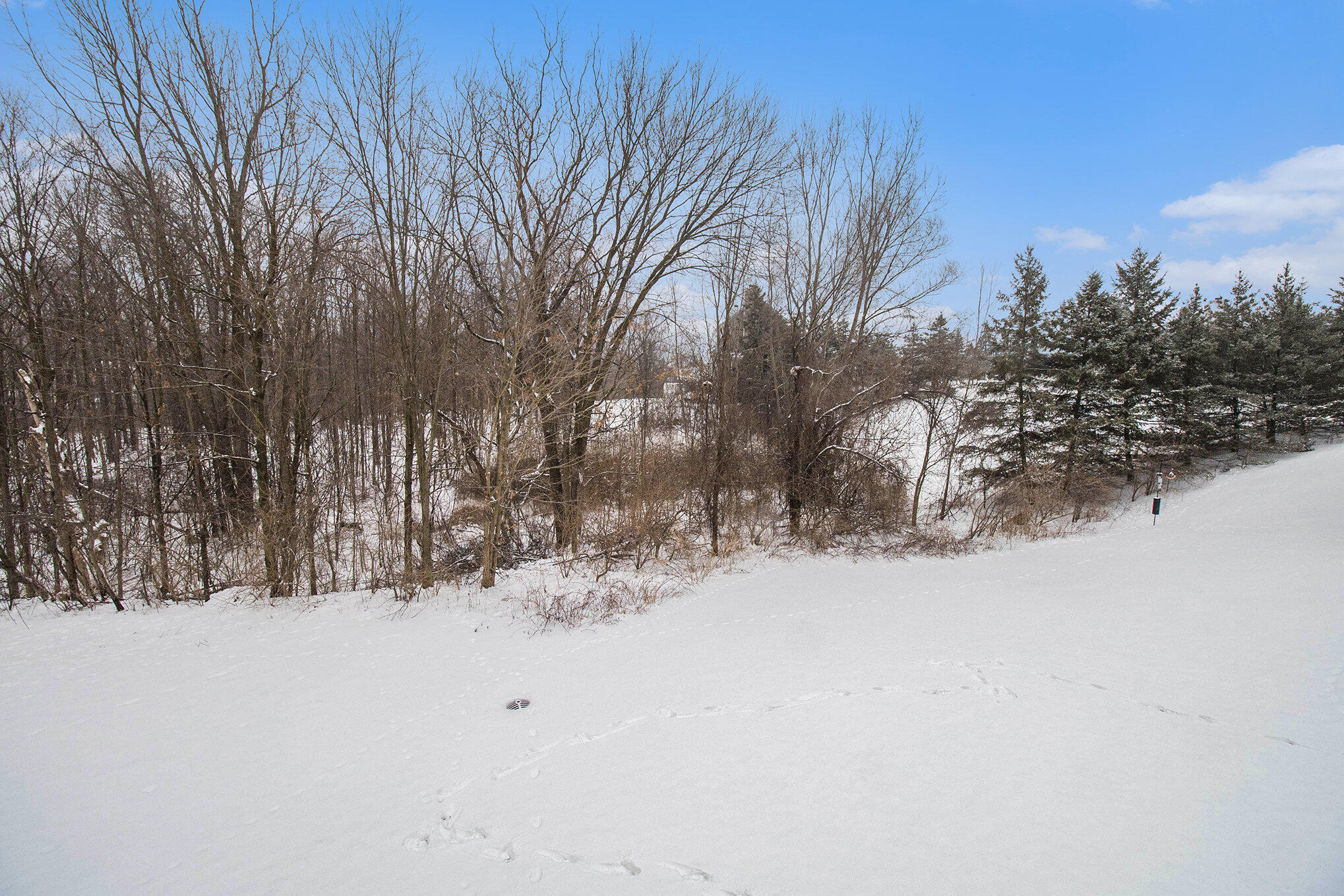 Ann Arbor, Michigan 48103, United States, 5 Bedrooms Bedrooms, ,4 BathroomsBathrooms,Residential,Pending,1464