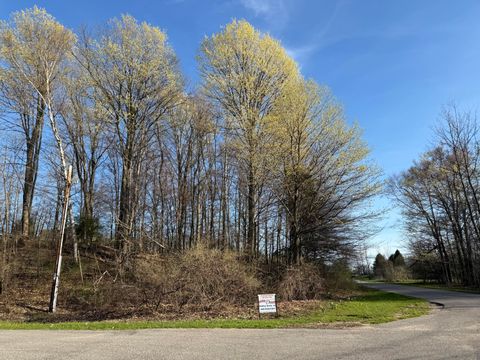 Photo of W Snead Drive, Ludington, MI 49431 (MLS # 26011417)