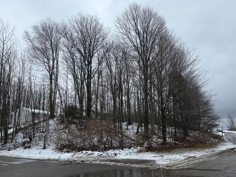 Photo of W Snead Drive, Ludington, MI 49431 (MLS # 26011417)